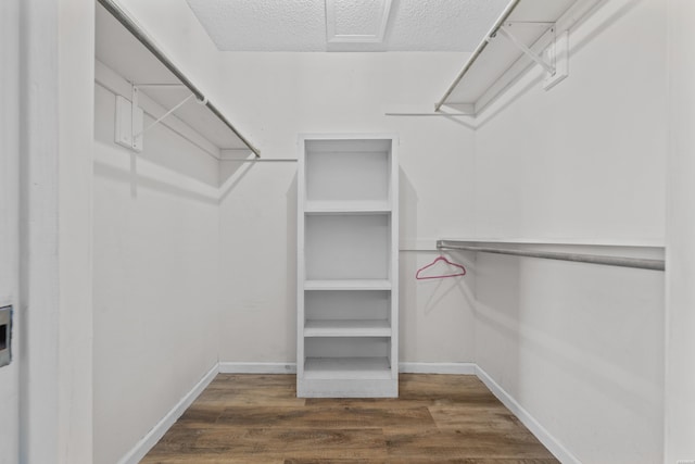 spacious closet with wood finished floors