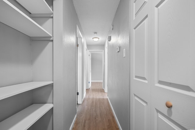 102 Brandiles Ln, Hot Springs, AR 71913 - hall with light wood-style floors and baseboards
