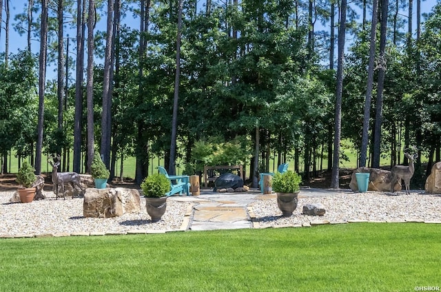 310 Maderas Dr, Hot Springs Village, AR 71909 - photo 47
