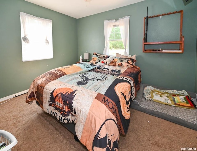 142 Taylor Loop, Oden, AR 71961 - view of carpeted bedroom