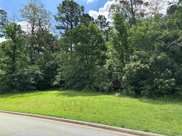 TBD Arlington Park Court, Hot Springs, AR 71901