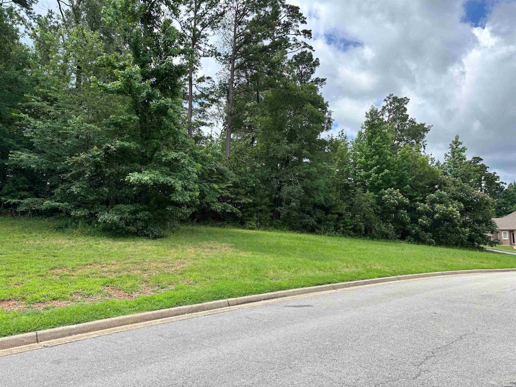 TBD Arlington Park Court, Hot Springs, AR 71901