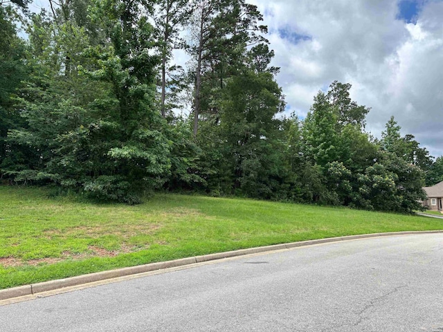 TBD Arlington Park Court, Hot Springs, AR 71901