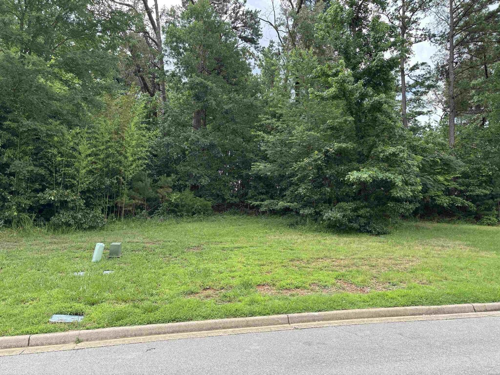 TBD Arlington Park Court, Hot Springs, AR 71901