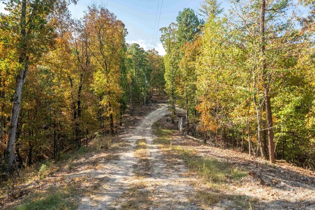 view of road featuring a view of trees