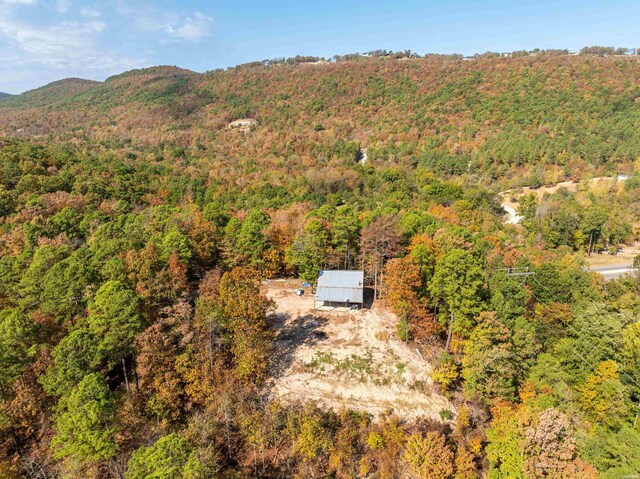 bird's eye view featuring a mountain view and a wooded view