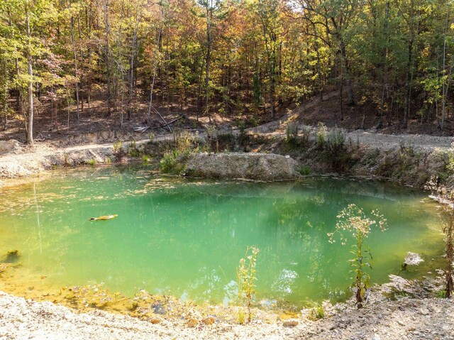 view of water feature featuring a wooded view