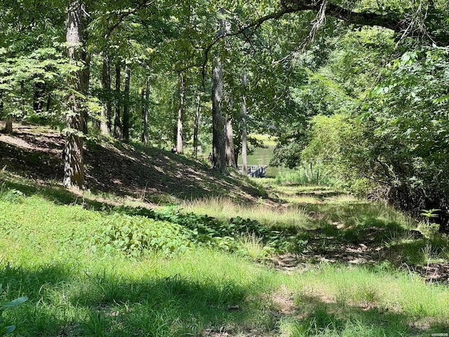 view of landscape