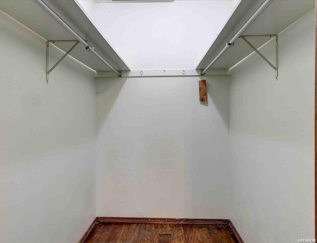 spacious closet featuring dark wood-type flooring