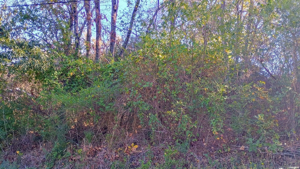 TBD Elmhurst, Hot Springs, AR 71913 - photo 2