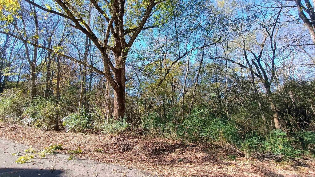 TBD Elmhurst, Hot Springs, AR 71913 - photo 1
