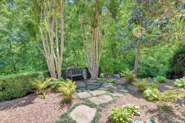 view of yard featuring a wooded view