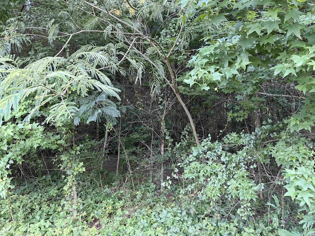 00 Mountain Pne, Hot Springs, AR 71913 - photo 2