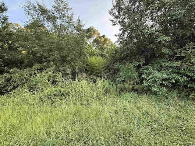 00 Mountain Pne, Hot Springs, AR 71913 - photo 1