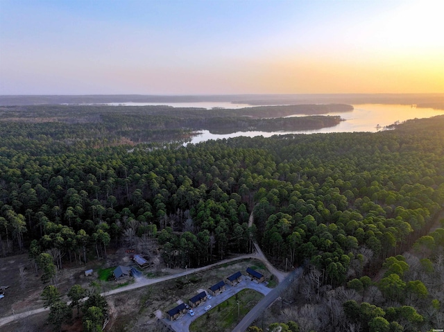 bird's eye view featuring a forest view and a water view