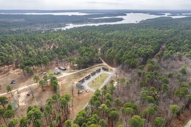 1136 Arlie Moore Rd, Bismarck, AR 71929 - drone / aerial view featuring a view of trees and a water view