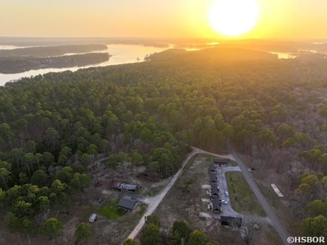 aerial view at dusk with a forest view and a water view