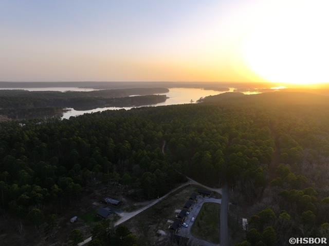 bird's eye view with a forest view and a water view