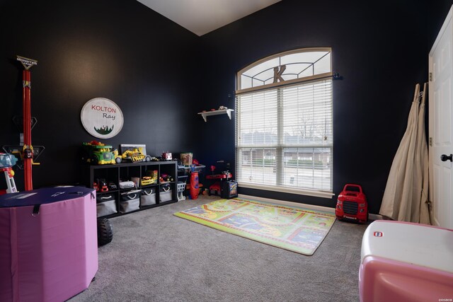 rec room with carpet floors