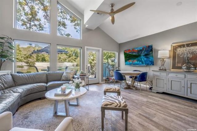 living area featuring ceiling fan, high vaulted ceiling, and wood finished floors