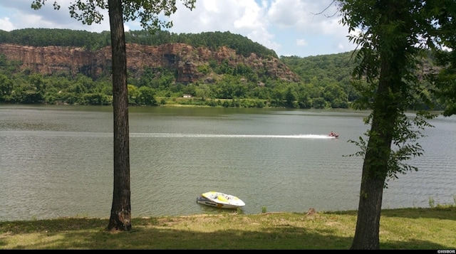 property view of water featuring a view of trees