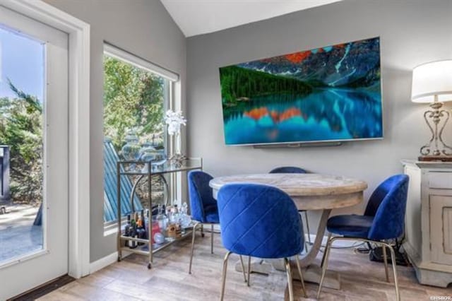 interior space featuring lofted ceiling, baseboards, and wood finished floors