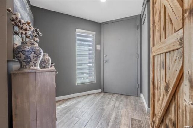 interior space featuring light wood-style floors, a healthy amount of sunlight, and baseboards