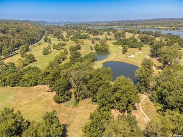 aerial view featuring a water view and a view of trees