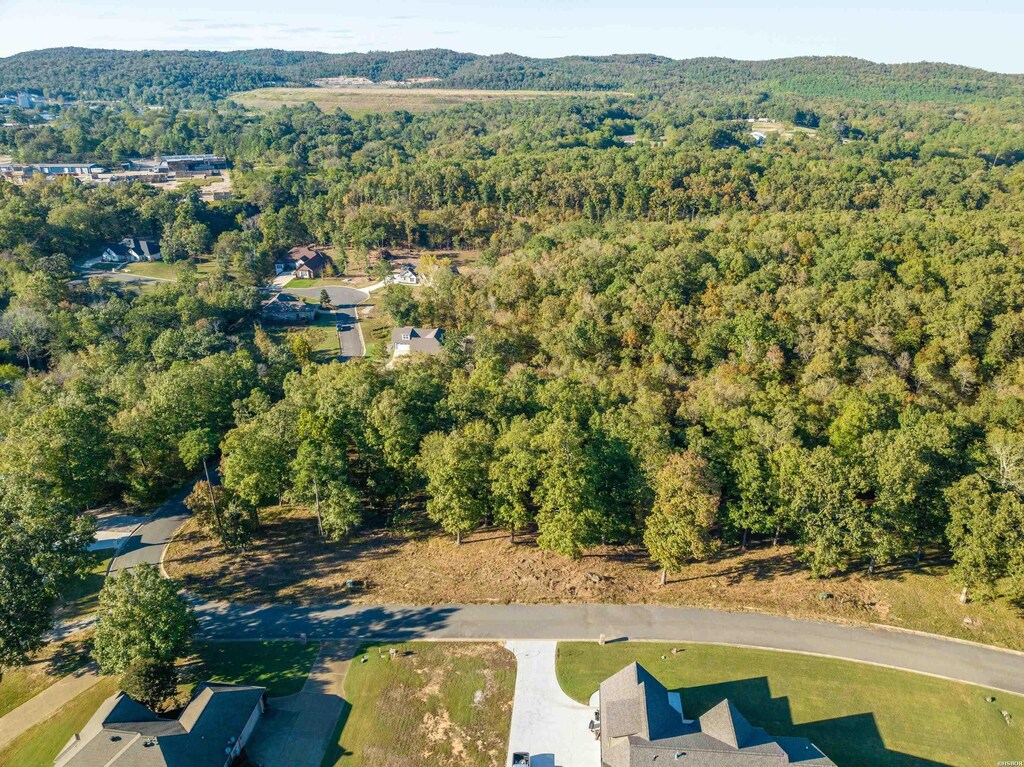 LOT44 Windsong Bay Dr, Hot Springs, AR 71901