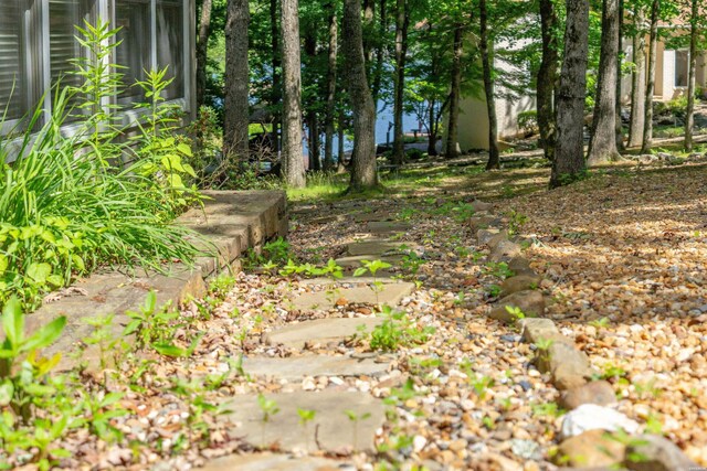 7 Lazo Pl, Hot Springs Village, AR 71909 - photo 40