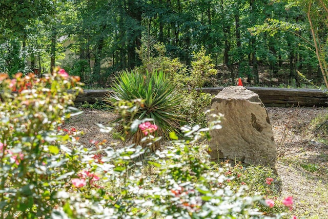 7 Lazo Pl, Hot Springs Village, AR 71909 - photo 48