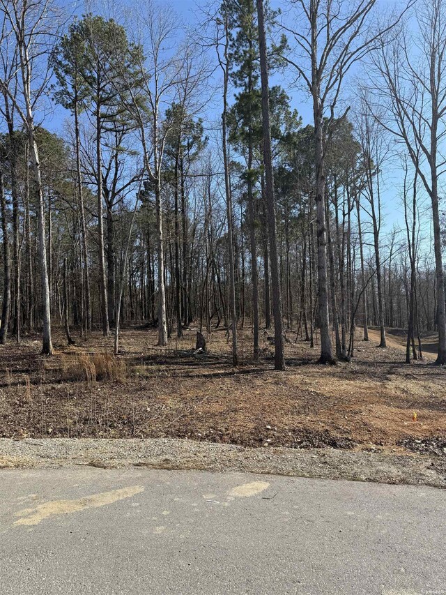 LOT11 Clearview Dr, Benton, AR 72019 - photo 3