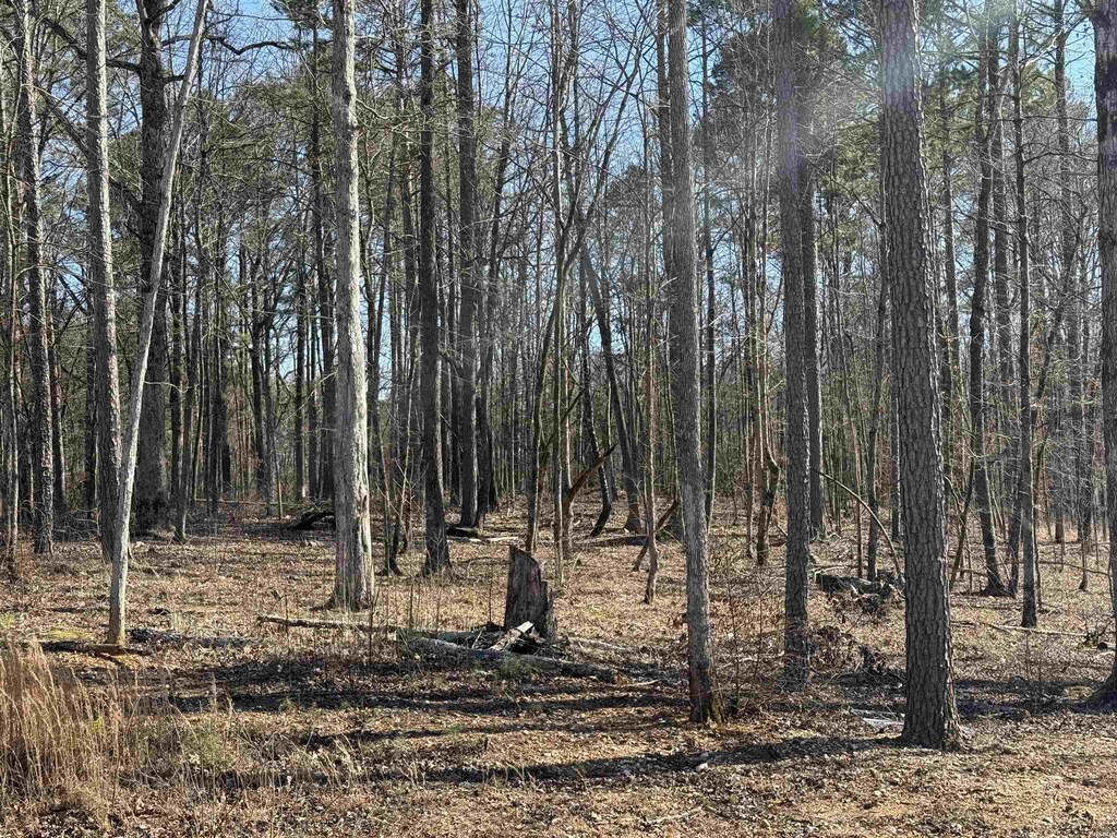 LOT11 Clearview Dr, Benton, AR 72019 - photo 1
