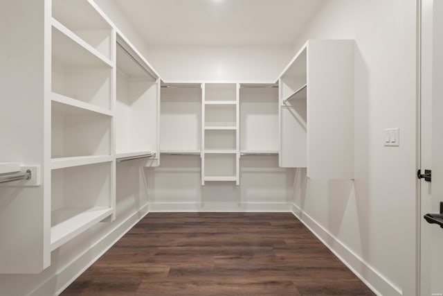 spacious closet with dark wood-style floors