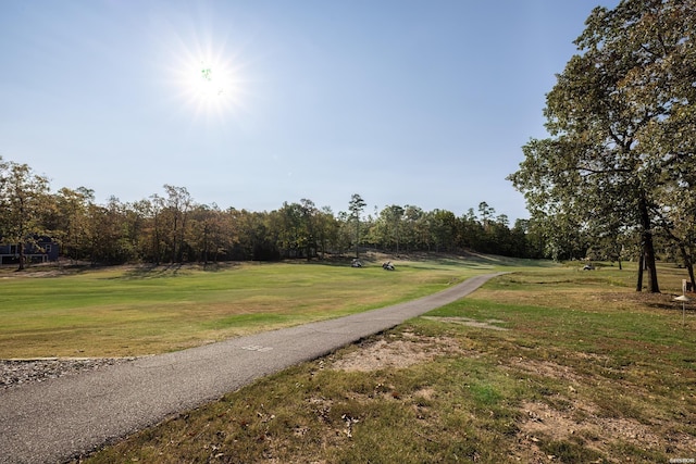 view of home's community with a lawn