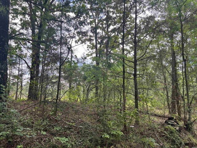 xx Dollar, Glenwood, AR 71943 - photo 8
