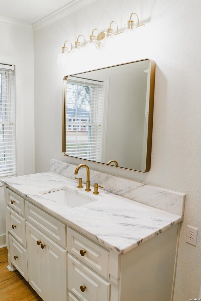 bathroom featuring crown molding, vanity, and wood finished floors