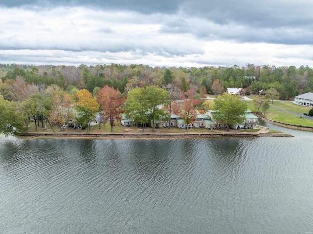 water view with a view of trees