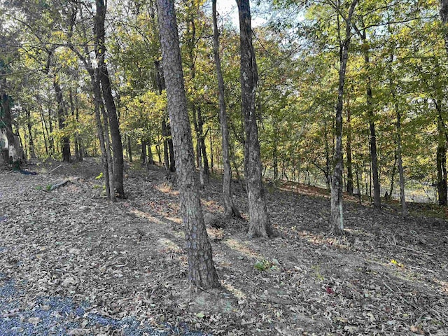 view of local wilderness featuring a view of trees