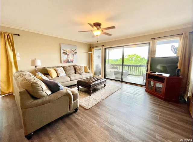 living room featuring dark wood-type flooring, crown molding, and a ceiling fan