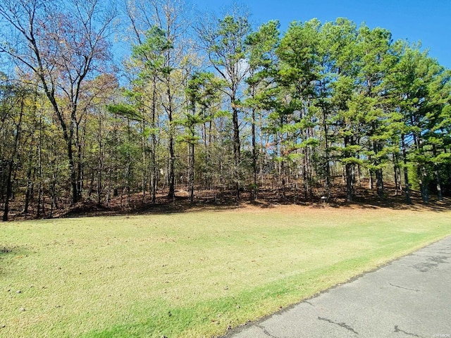 Listing photo 2 for XXX Gancho Way, Hot Springs Village AR 71909