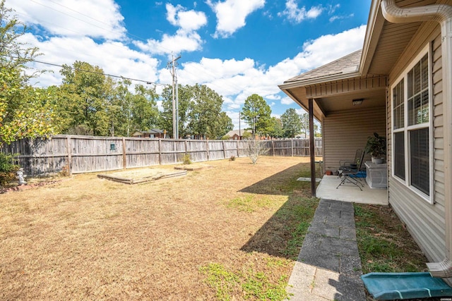 view of yard with a patio area and a fenced backyard