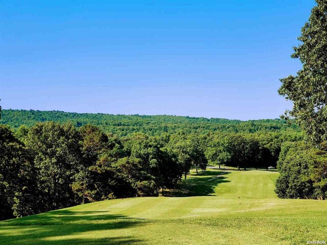 LOT2993 Ivy Hill Ct, Hot Springs, AR 71913 - photo 5