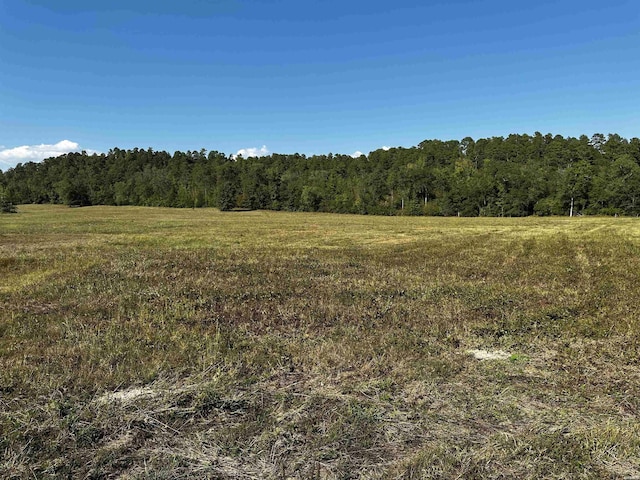 202 Revas Rd Lot 17, Story AR, 71970 land for sale