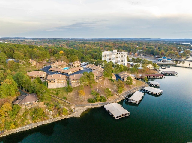 bird's eye view with a forest view and a water view