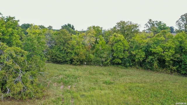 74 Lawdy Ln, Story, AR 71970 - photo 41