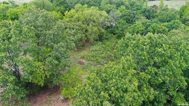 74 Lawdy Ln, Story, AR 71970 - photo 42