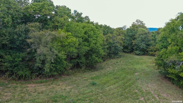74 Lawdy Ln, Story, AR 71970 - photo 40