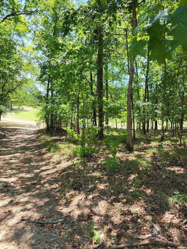 694 Pineapple, Hot Springs AR, 71913 land for sale