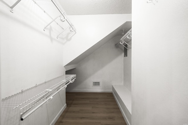 spacious closet featuring dark wood-style flooring